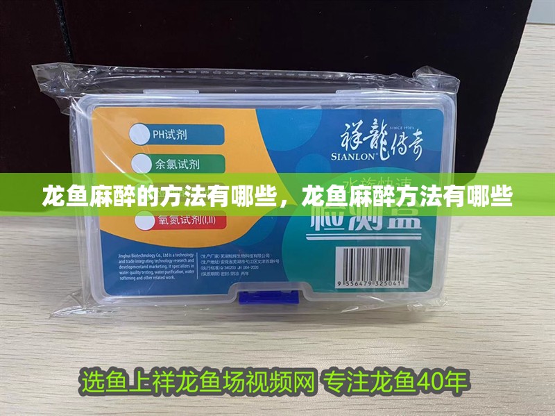 龍魚麻醉的方法有哪些，龍魚麻醉方法有哪些