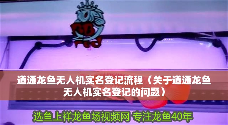 道通龍魚無人機(jī)實(shí)名登記流程（關(guān)于道通龍魚無人機(jī)實(shí)名登記的問題）