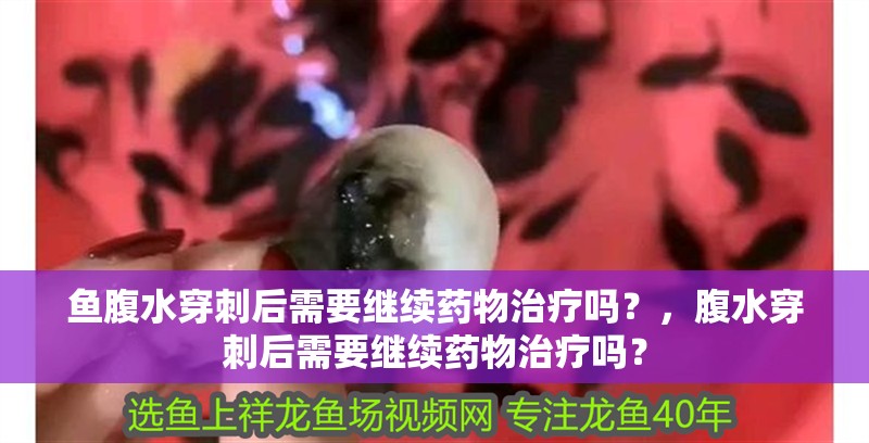 魚腹水穿刺后需要繼續藥物治療嗎？，腹水穿刺后需要繼續藥物治療嗎？