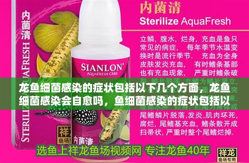 龍魚細菌感染的癥狀包括以下幾個方面，龍魚細菌感染會自愈嗎，魚細菌感染的癥狀包括以下幾個方面，龍魚細菌感染會自愈嗎