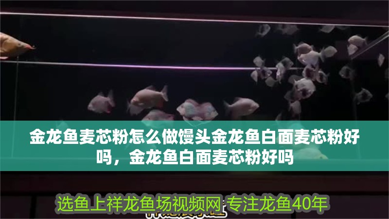 金龍魚麥芯粉怎么做饅頭金龍魚白面麥芯粉好嗎，金龍魚白面麥芯粉好嗎