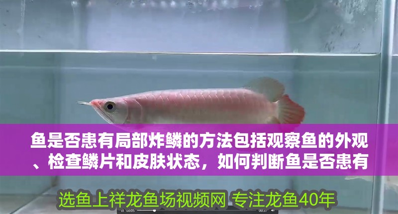 魚是否患有局部炸鱗的方法包括觀察魚的外觀、檢查鱗片和皮膚狀態，如何判斷魚是否患有局部炸鱗