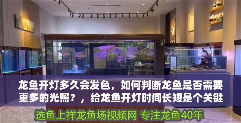 龍魚(yú)開(kāi)燈多久會(huì)發(fā)色，如何判斷龍魚(yú)是否需要更多的光照？，給龍魚(yú)開(kāi)燈時(shí)間長(zhǎng)短是個(gè)關(guān)鍵問(wèn)題