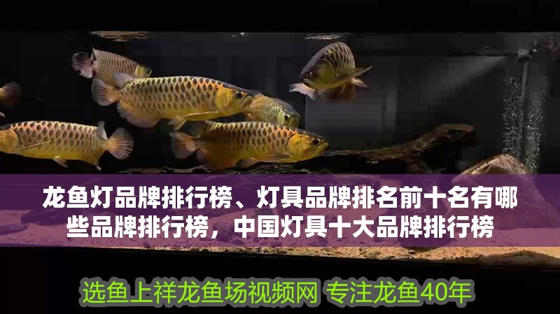 龍魚燈品牌排行榜、燈具品牌排名前十名有哪些品牌排行榜，中國燈具十大品牌排行榜