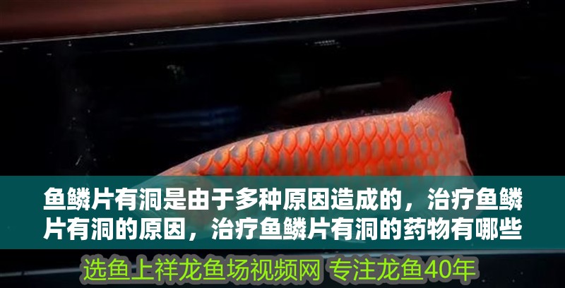 魚鱗片有洞是由于多種原因造成的，治療魚鱗片有洞的原因，治療魚鱗片有洞的藥物有哪些