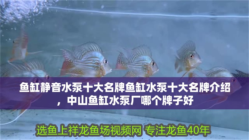 魚缸靜音水泵十大名牌魚缸水泵十大名牌介紹，中山魚缸水泵廠哪個牌子好