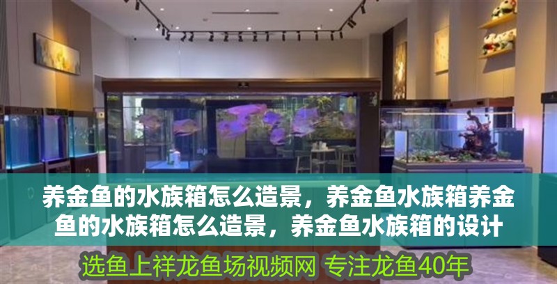 養金魚的水族箱怎么造景，養金魚水族箱養金魚的水族箱怎么造景，養金魚水族箱的設計