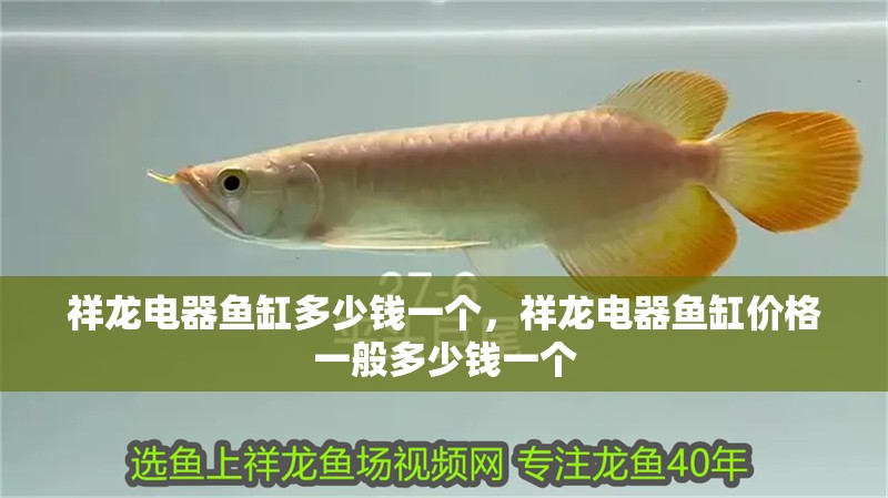 祥龍電器魚缸多少錢一個，祥龍電器魚缸價格一般多少錢一個