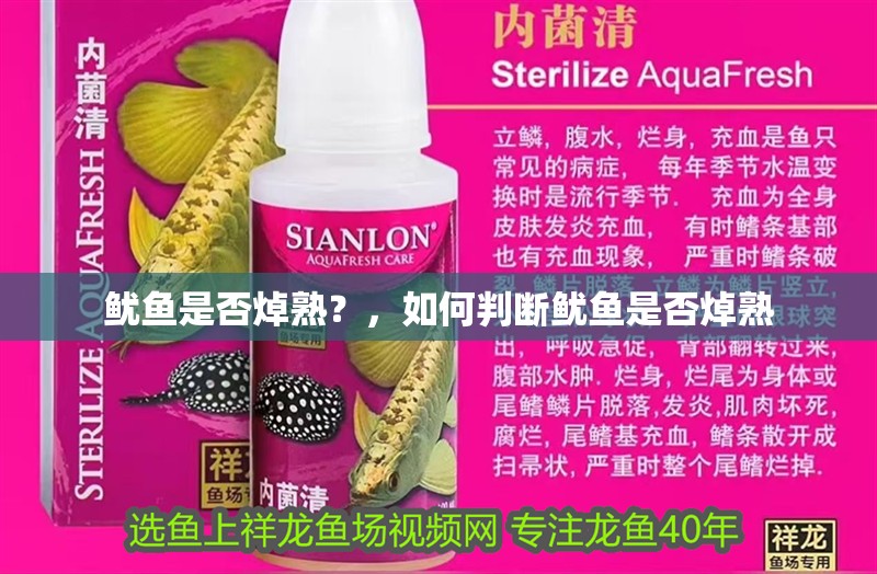 魷魚(yú)是否焯熟?,如何判斷魷魚(yú)是否焯熟 龍魚(yú)百科 第3張 魷魚(yú)是否焯熟?,如何判斷魷魚(yú)是否焯熟 魷魚(yú)是否焯熟?,如何判斷魷魚(yú)是否焯熟 龍魚(yú)百科 第3張