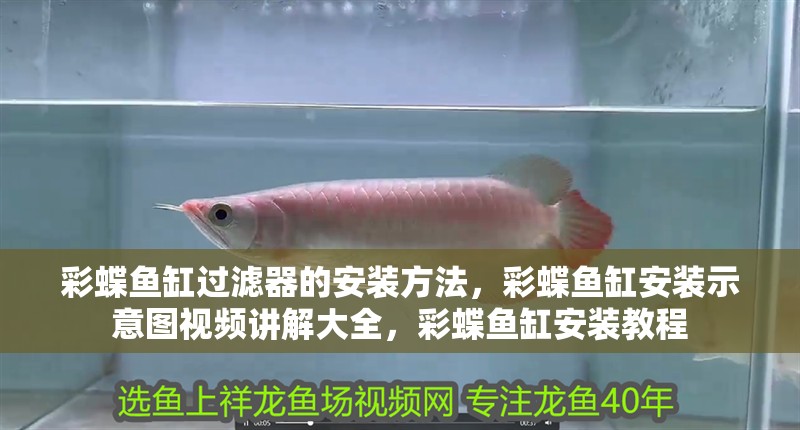 彩蝶魚缸過濾器的安裝方法，彩蝶魚缸安裝示意圖視頻講解大全，彩蝶魚缸安裝教程