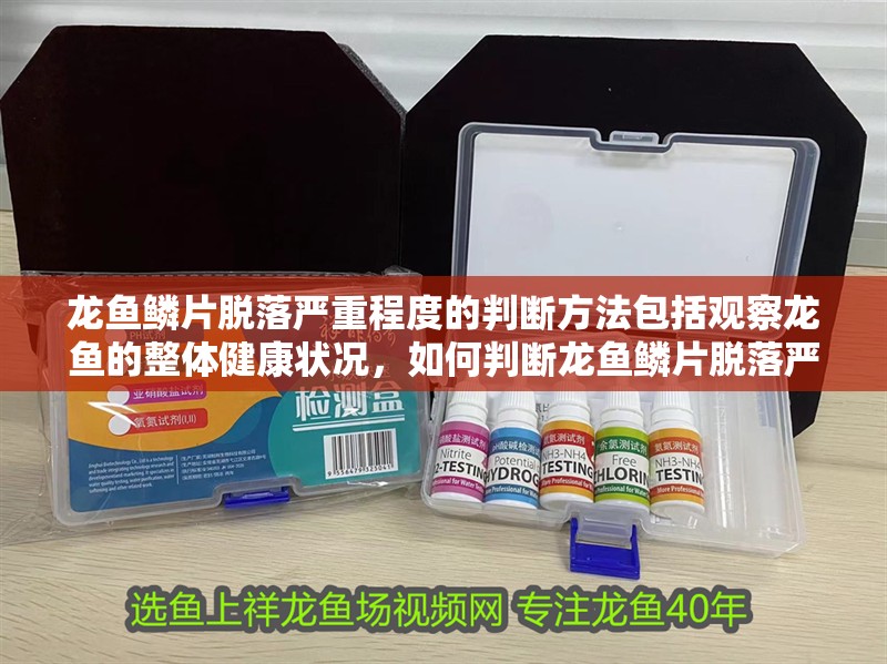 龍魚鱗片脫落嚴重程度的判斷方法包括觀察龍魚的整體健康狀況，如何判斷龍魚鱗片脫落嚴重程度