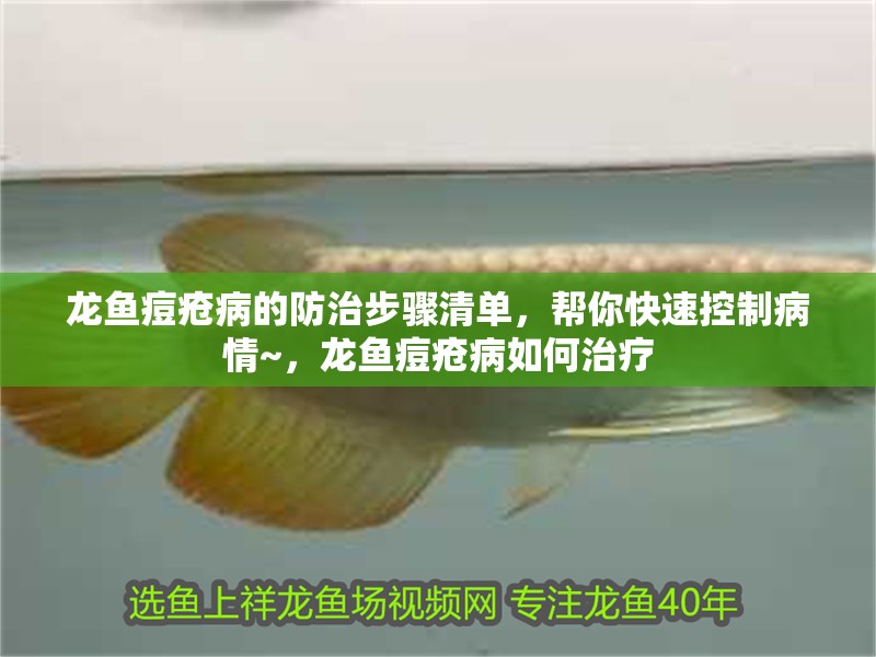 龍魚痘瘡病的防治步驟清單，幫你快速控制病情~，龍魚痘瘡病如何治療
