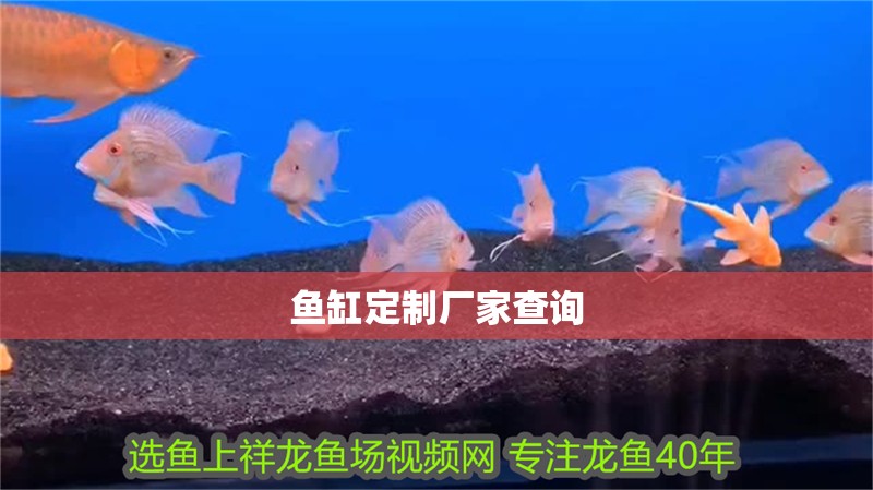 魚缸定制廠家查詢