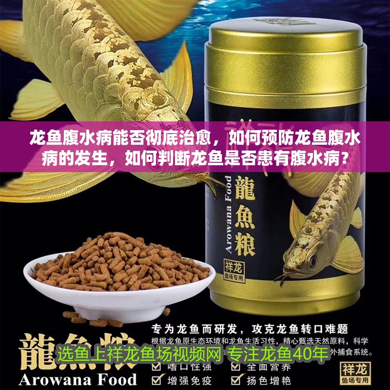 龍魚腹水病能否徹底治愈，如何預防龍魚腹水病的發生，如何判斷龍魚是否患有腹水病？