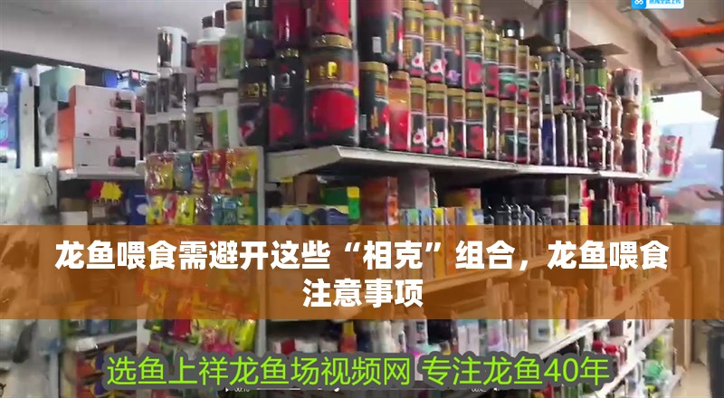 龍魚喂食需避開這些“相克”組合，龍魚喂食注意事項