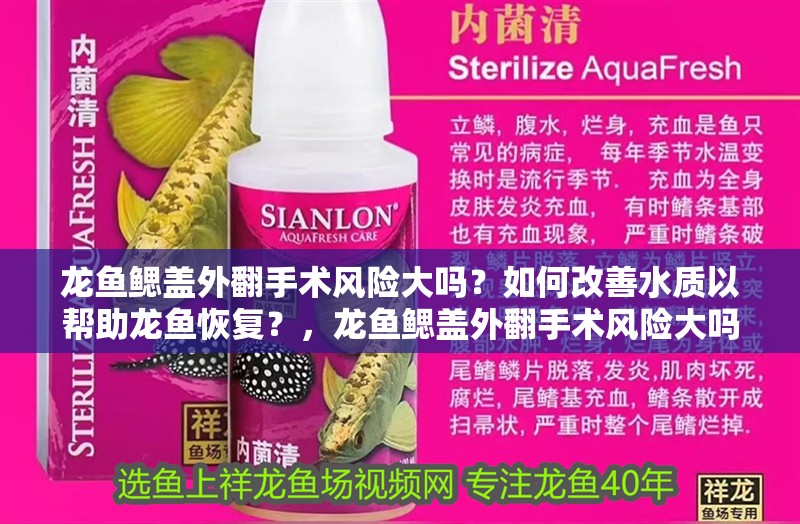 龍魚鰓蓋外翻手術風險大嗎？如何改善水質以幫助龍魚恢復？，龍魚鰓蓋外翻手術風險大嗎