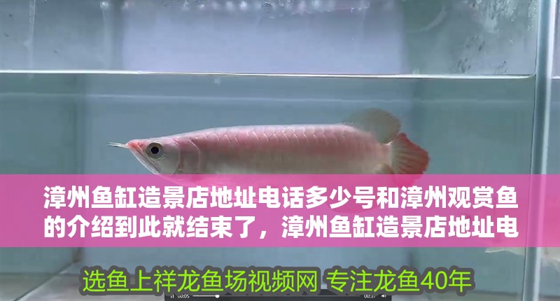 漳州魚缸造景店地址電話多少號和漳州觀賞魚的介紹到此就結束了，漳州魚缸造景店地址電話多少號