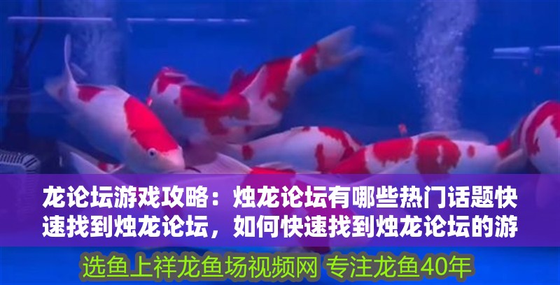 龍論壇游戲攻略：燭龍論壇有哪些熱門話題快速找到燭龍論壇，如何快速找到燭龍論壇的游戲攻略？