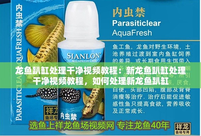 龍魚趴缸處理干凈視頻教程：新龍魚趴缸處理干凈視頻教程，如何處理新龍魚趴缸