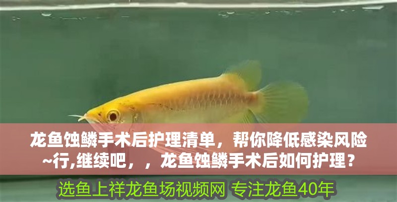 龍魚蝕鱗手術(shù)后護(hù)理清單，幫你降低感染風(fēng)險(xiǎn)~行,繼續(xù)吧，，龍魚蝕鱗手術(shù)后如何護(hù)理？