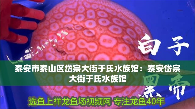 泰安市泰山區岱宗大街于氏水族館：泰安岱宗大街于氏水族館