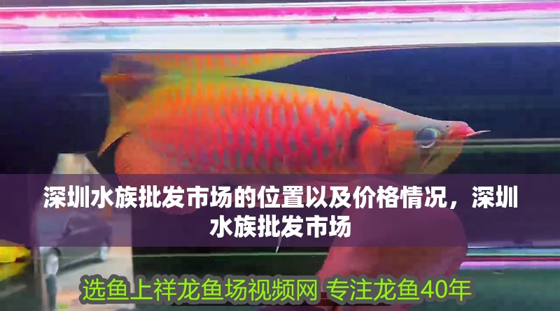 深圳水族批發市場的位置以及價格情況，深圳水族批發市場