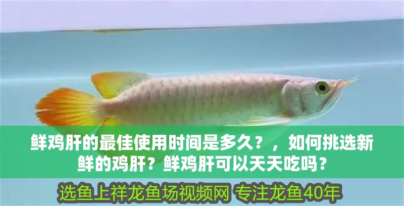 鮮雞肝的最佳使用時間是多久？，如何挑選新鮮的雞肝？鮮雞肝可以天天吃嗎？