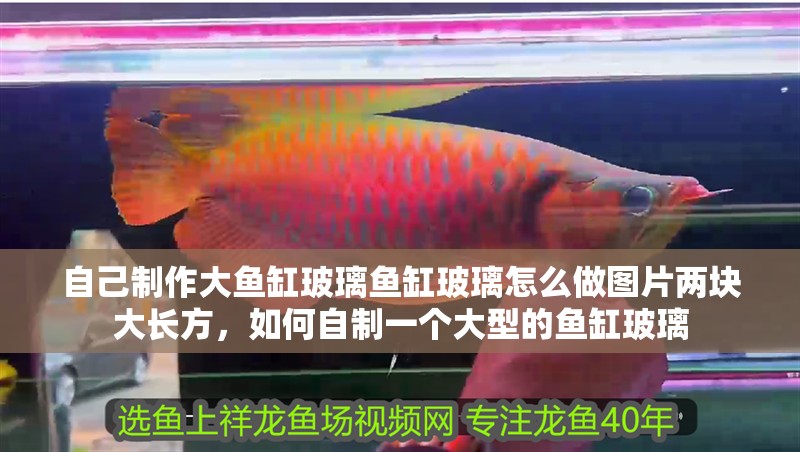 自己制作大魚缸玻璃魚缸玻璃怎么做圖片兩塊大長方，如何自制一個大型的魚缸玻璃 自己制作大魚缸玻璃魚缸玻璃怎么做圖片兩塊大長方，如何自制一個大型的魚缸玻璃 觀賞魚百科 第2張