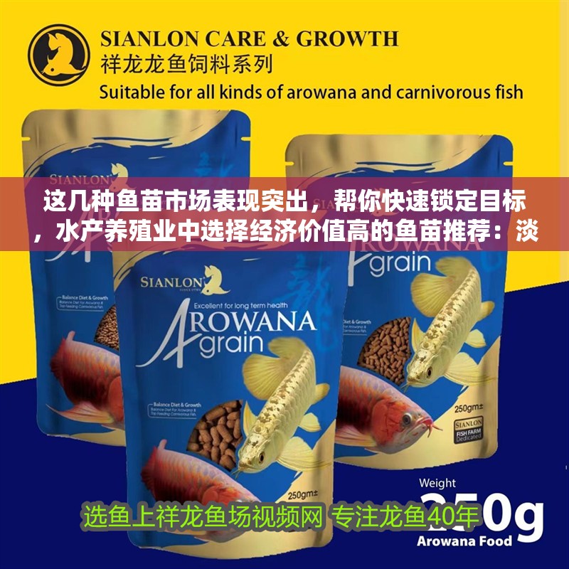 這幾種魚苗市場表現突出，幫你快速鎖定目標，水產養殖業中選擇經濟價值高的魚苗推薦：淡水魚苗養殖穩賺不賠