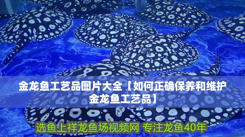 金龍魚工藝品圖片大全【如何正確保養(yǎng)和維護(hù)金龍魚工藝品】