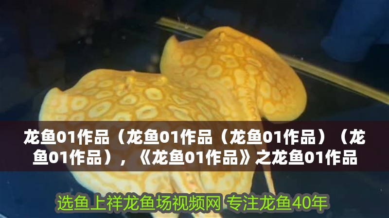 龍魚01作品（龍魚01作品（龍魚01作品）（龍魚01作品），《龍魚01作品》之龍魚01作品
