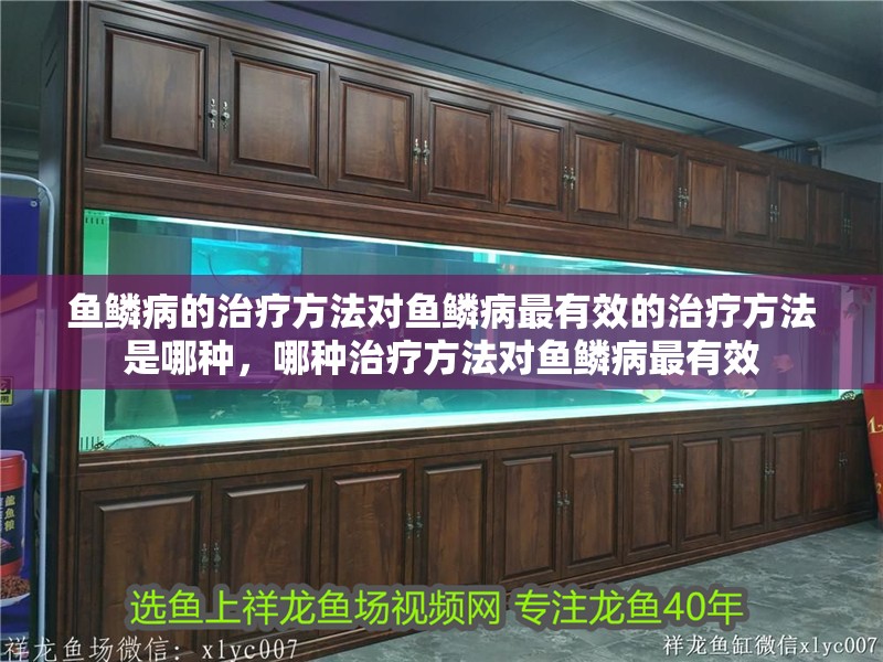 魚鱗病的治療方法對魚鱗病最有效的治療方法是哪種，哪種治療方法對魚鱗病最有效 魚鱗病的治療方法對魚鱗病最有效的治療方法是哪種，哪種治療方法對魚鱗病最有效 龍魚百科 第2張