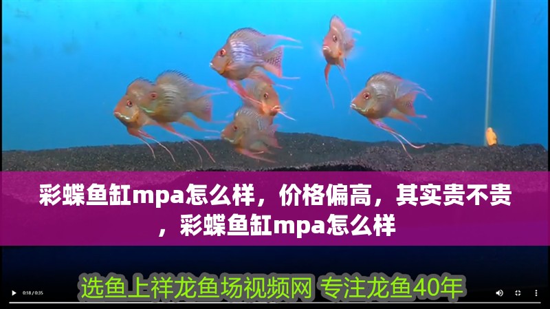 彩蝶魚缸mpa怎么樣，價格偏高，其實貴不貴，彩蝶魚缸mpa怎么樣