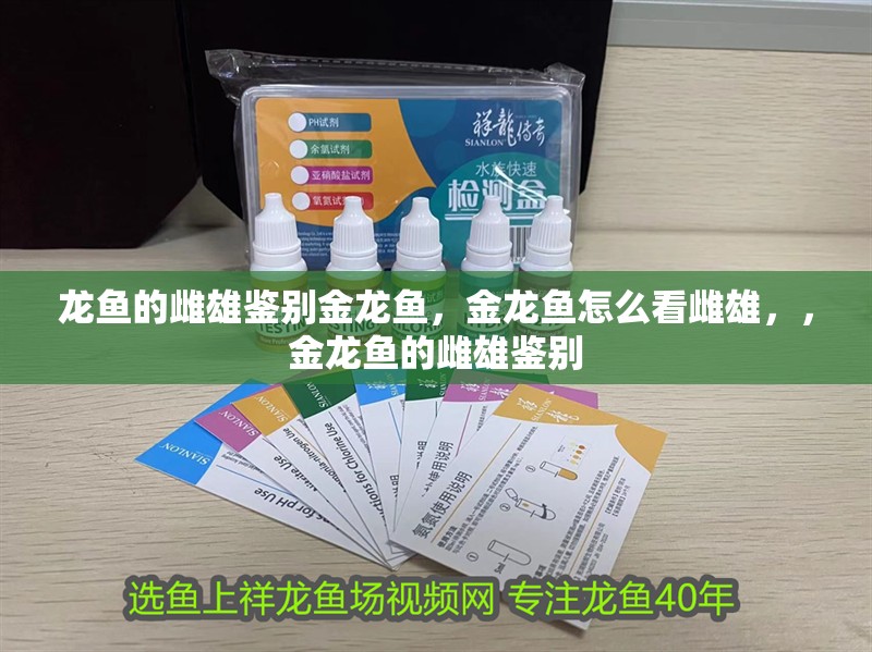 龍魚的雌雄鑒別金龍魚，金龍魚怎么看雌雄，，金龍魚的雌雄鑒別