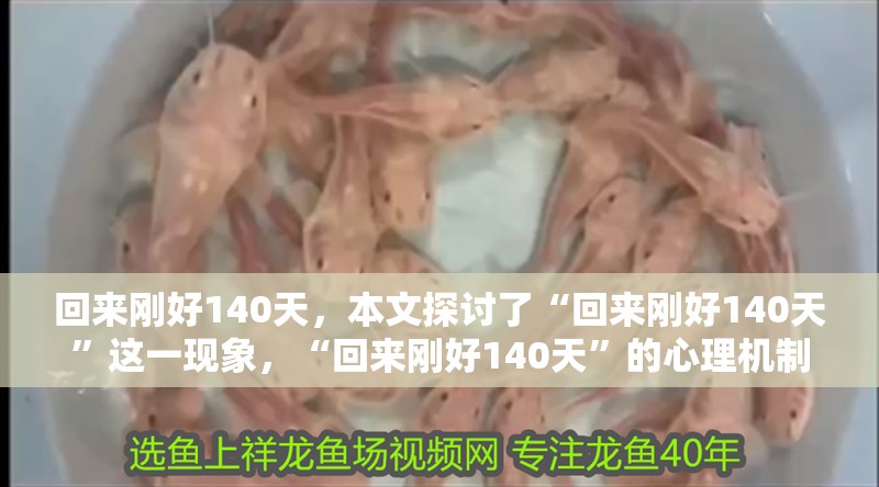 回來剛好140天，本文探討了“回來剛好140天”這一現象，“回來剛好140天”的心理機制
