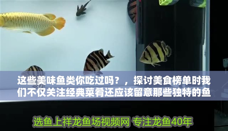 這些美味魚類你吃過嗎？，探討美食榜單時我們不僅關注經(jīng)典菜肴還應該留意那些獨特的魚類