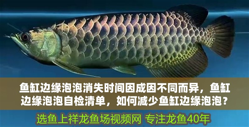 魚缸邊緣泡泡消失時(shí)間因成因不同而異，魚缸邊緣泡泡自檢清單，如何減少魚缸邊緣泡泡？