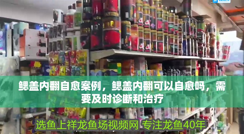 鰓蓋內翻自愈案例，鰓蓋內翻可以自愈嗎，需要及時診斷和治療