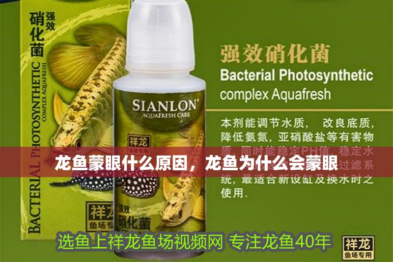 龍魚蒙眼什么原因，龍魚為什么會蒙眼