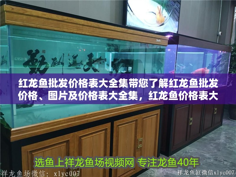 紅龍魚批發(fā)價(jià)格表大全集帶您了解紅龍魚批發(fā)價(jià)格、圖片及價(jià)格表大全集，紅龍魚價(jià)格表大全集