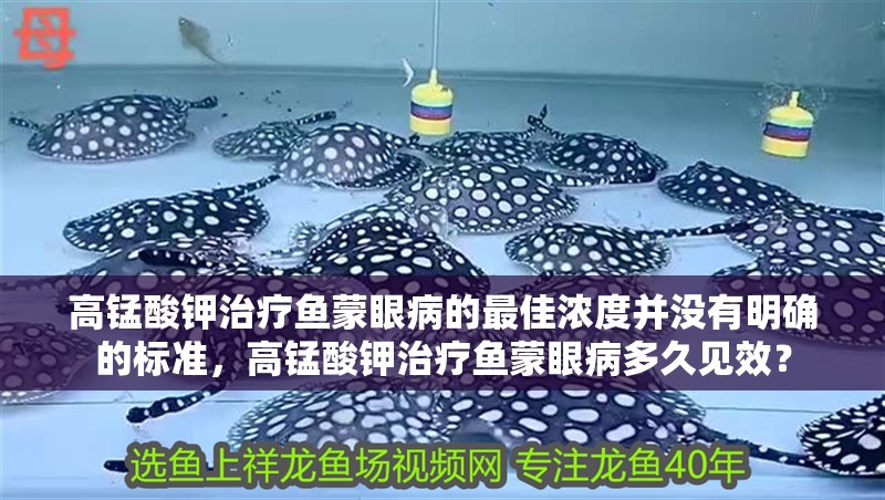 高錳酸鉀治療魚蒙眼病的最佳濃度并沒有明確的標(biāo)準(zhǔn)，高錳酸鉀治療魚蒙眼病多久見效？