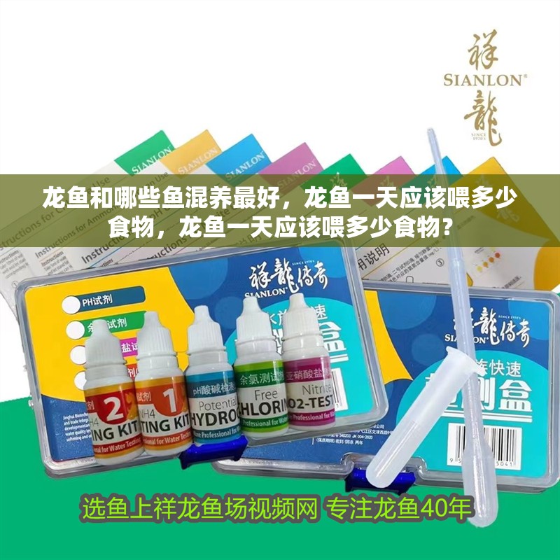 龍魚和哪些魚混養最好，龍魚一天應該喂多少食物，龍魚一天應該喂多少食物？