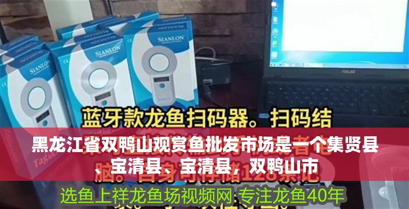 黑龍江省雙鴨山觀賞魚批發市場是一個集賢縣、寶清縣、寶清縣，雙鴨山市