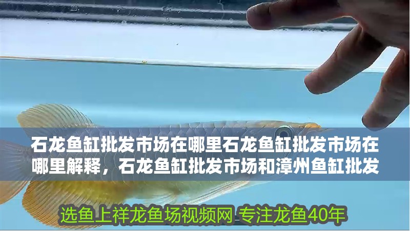 石龍魚缸批發市場在哪里石龍魚缸批發市場在哪里解釋，石龍魚缸批發市場和漳州魚缸批發市場在哪里