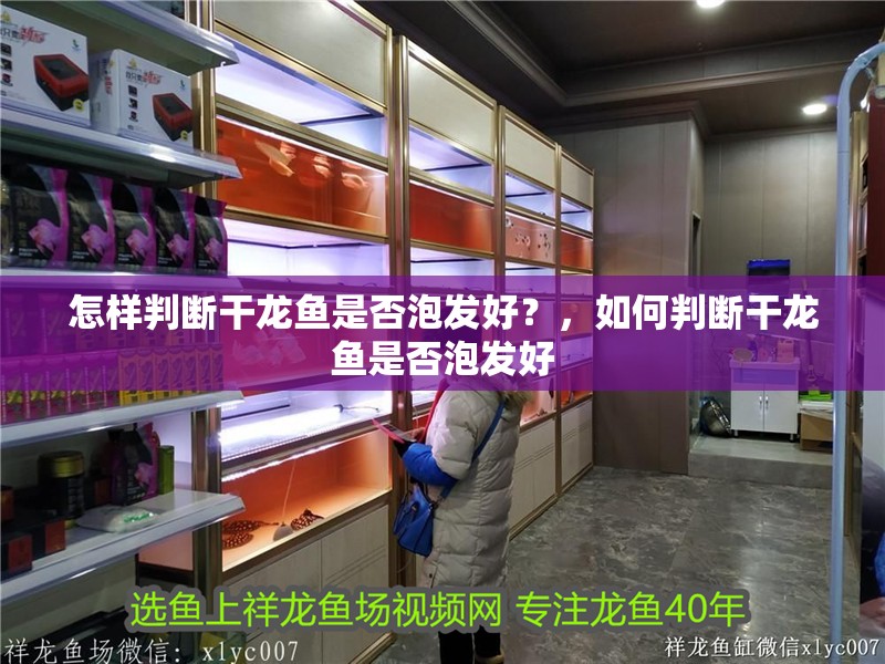怎樣判斷干龍魚是否泡發好？，如何判斷干龍魚是否泡發好