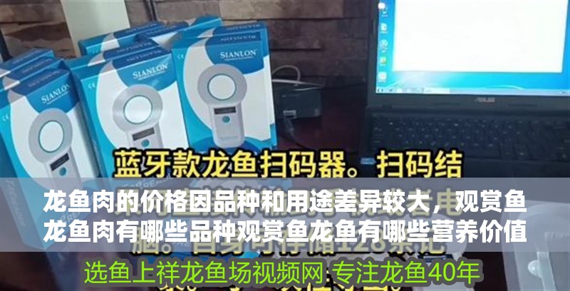 龍魚肉的價格因品種和用途差異較大，觀賞魚龍魚肉有哪些品種觀賞魚龍魚有哪些營養價值