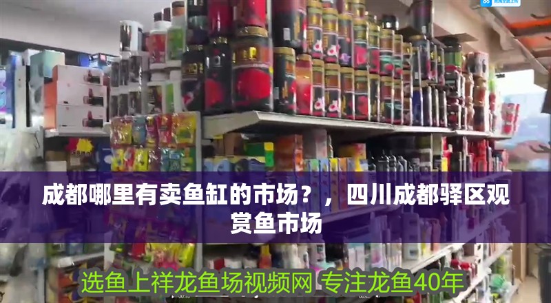 成都哪里有賣魚缸的市場？，四川成都驛區觀賞魚市場
