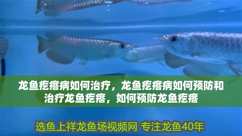 龍魚疙瘩病如何治療，龍魚疙瘩病如何預防和治療龍魚疙瘩，如何預防龍魚疙瘩
