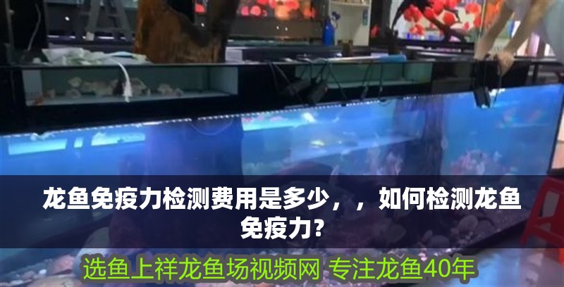 龍魚免疫力檢測費用是多少，，如何檢測龍魚免疫力？