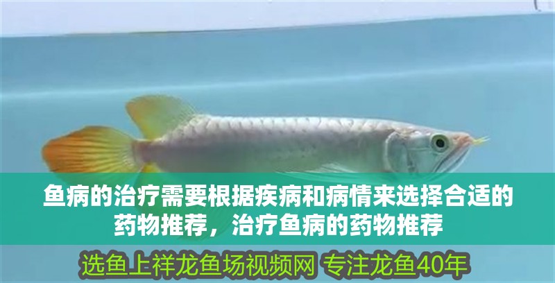 魚病的治療需要根據疾病和病情來選擇合適的藥物推薦，治療魚病的藥物推薦
